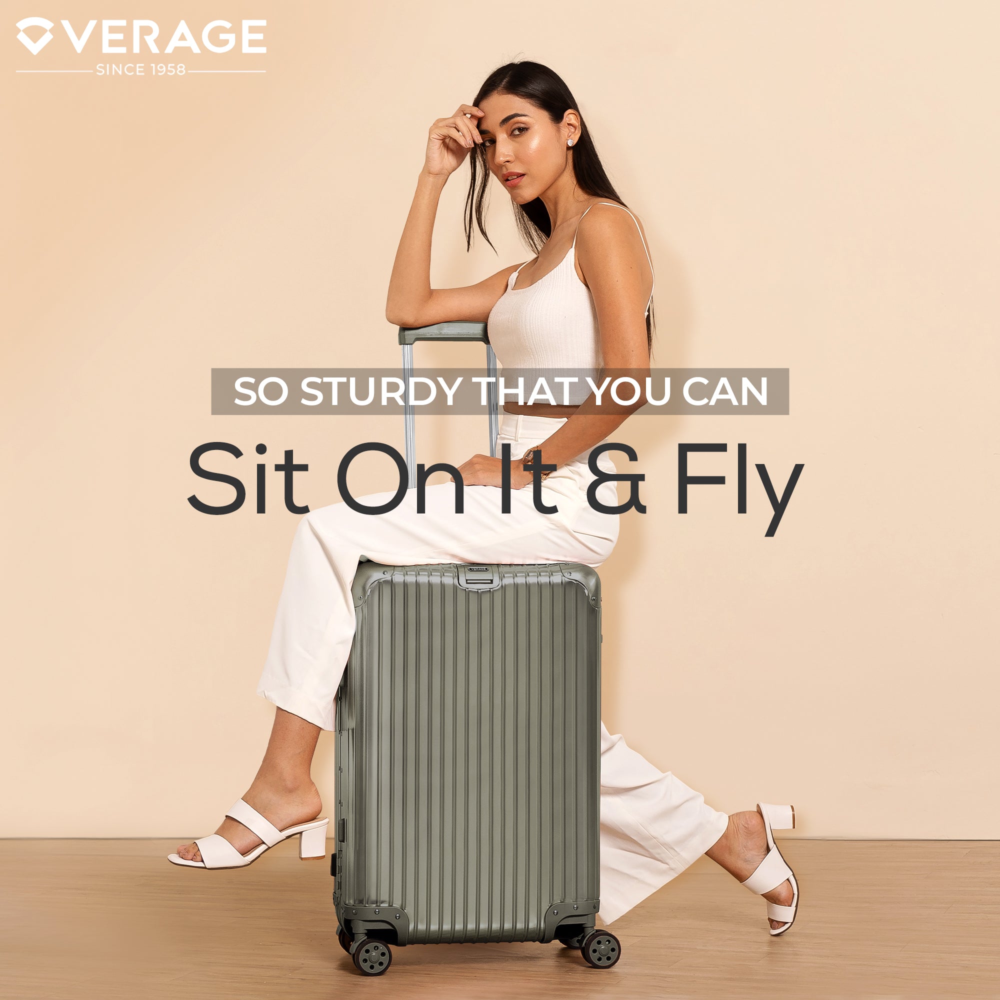 VERAGE Luxe Secure Jet- Aluminium Medium Check-In