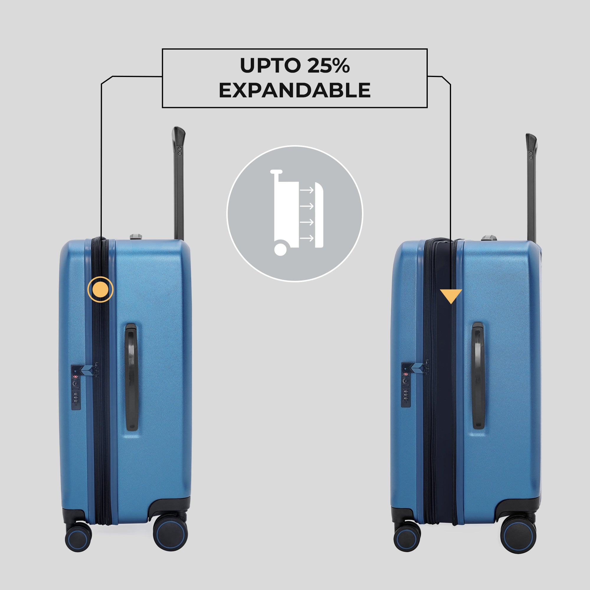 The Freeland - Medium + Large Check-In