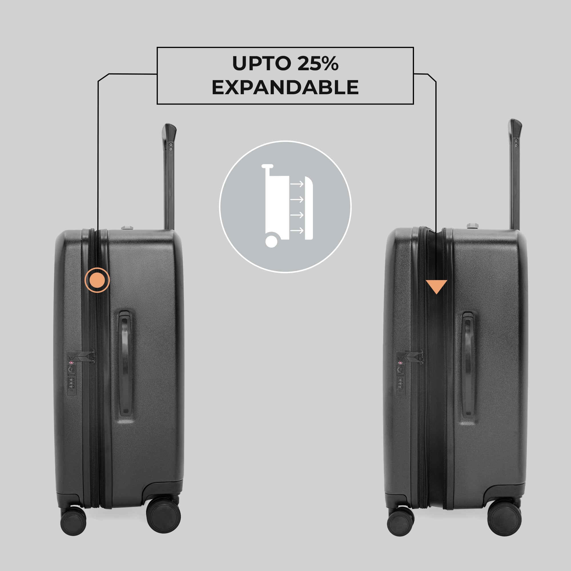 The Freeland - Medium + Large Check-In