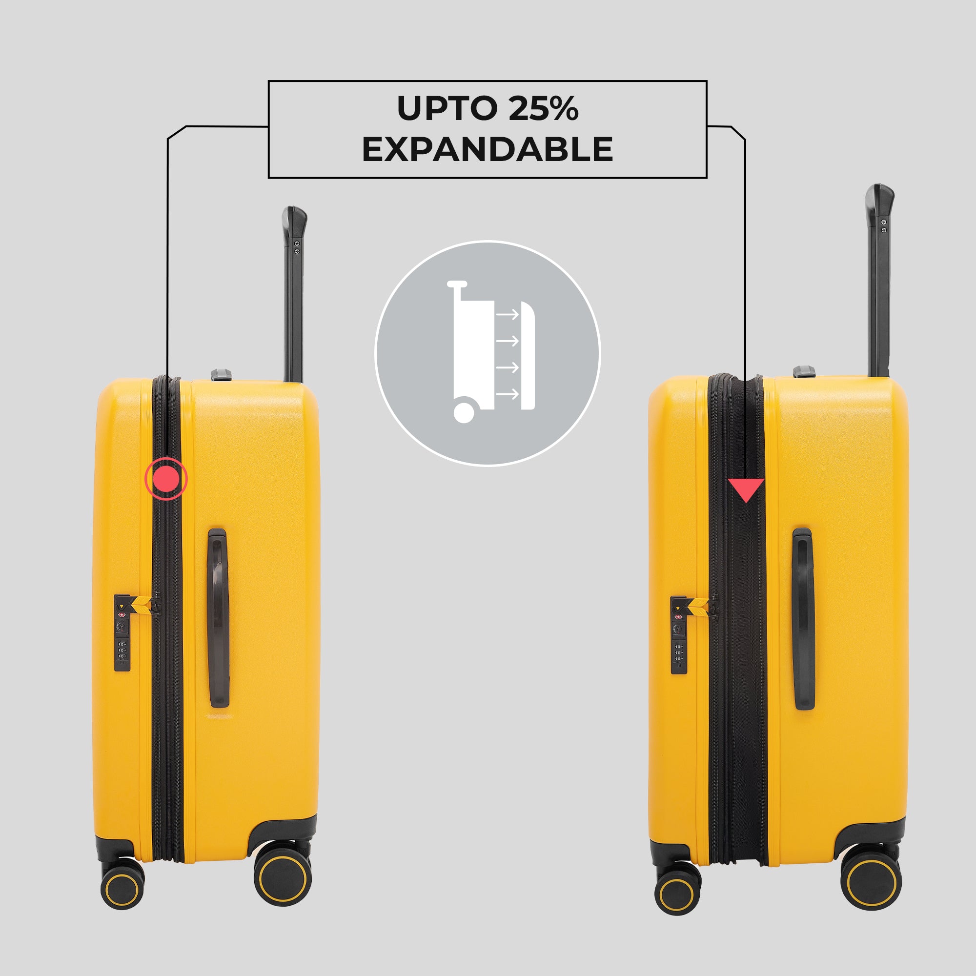 The Freeland - Medium + Large Check-In